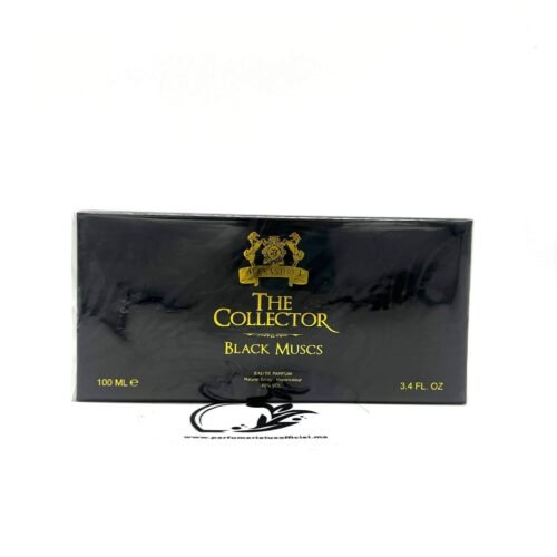 THE COLLECTOR BLACK MUSCS ALEXANDRE J