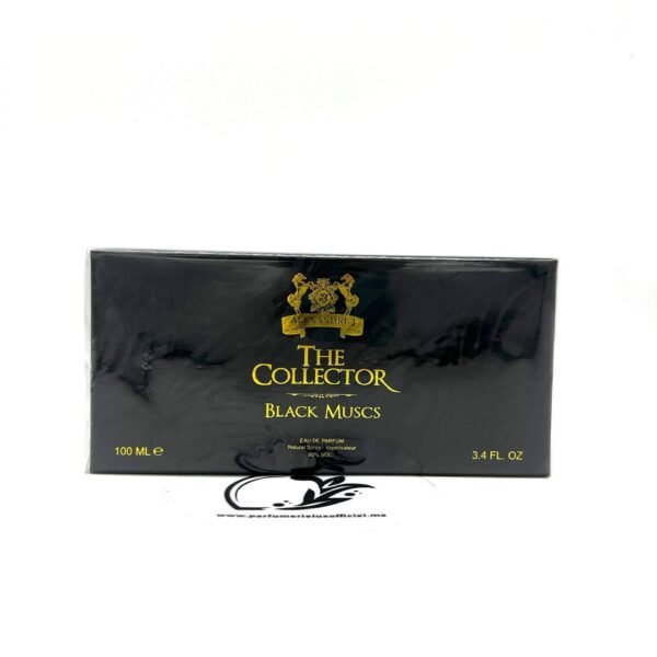 THE COLLECTOR BLACK MUSCS ALEXANDRE J