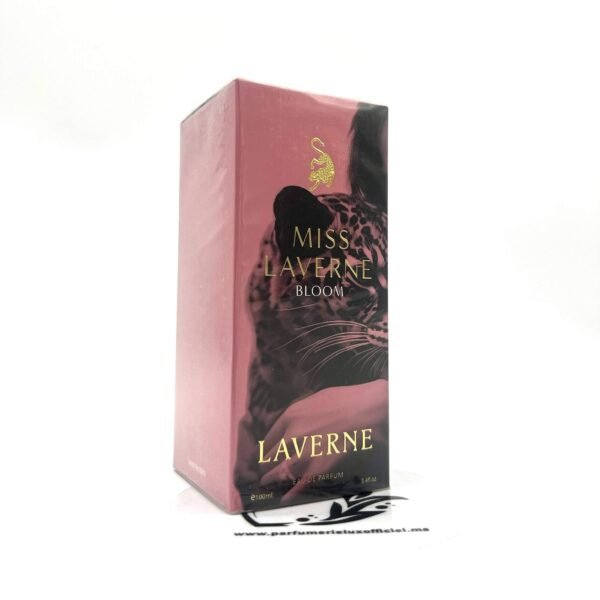 MISS LAVERNE BLOOM PRIX MAROC