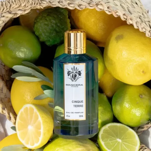 MANCERA CINQUE TERRE PRIX MAROC