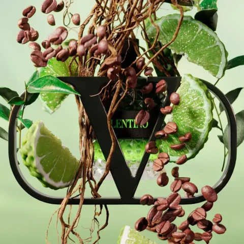 valentino uomo green stravaganza maroc