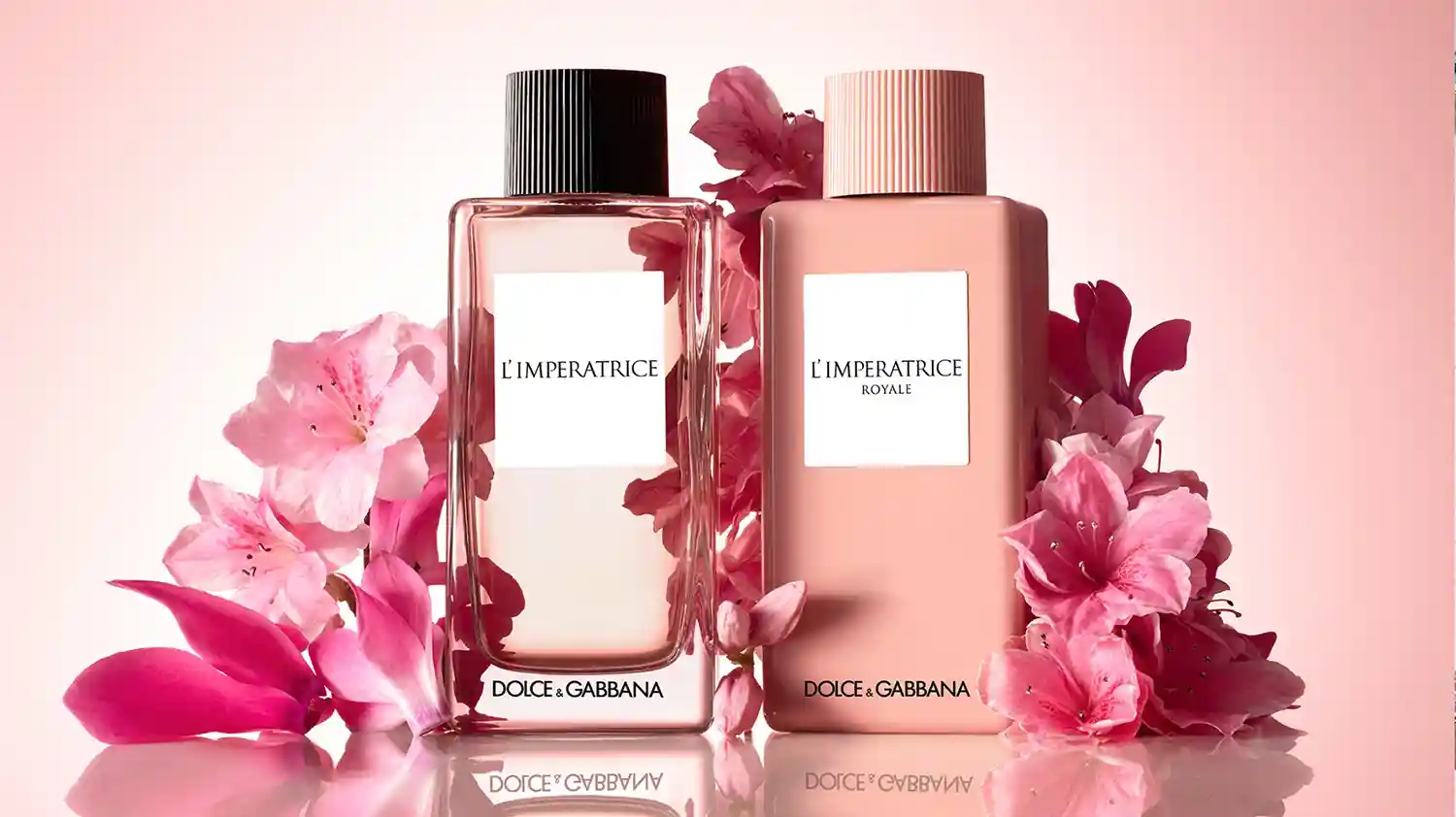 DOLCE & GABBANA L'IMPERATRICE 8 DOLCE & GABBANA L'IMPERATRICE – Image 6