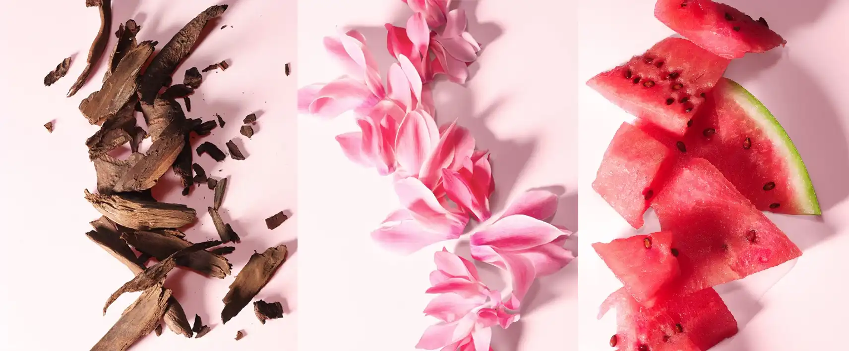 DOLCE & GABBANA L'IMPERATRICE 7 DOLCE & GABBANA L'IMPERATRICE – Image 5