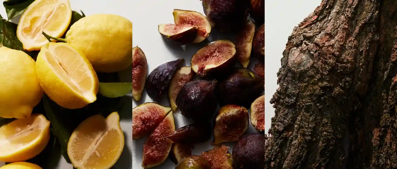 DOLCE GABBANA K EAU DE PARFUM 8 DOLCE GABBANA K EAU DE PARFUM – Image 6