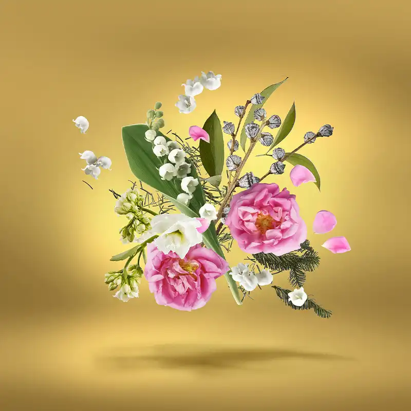 XERJOFF ACCENTO OVERDOSE 5 XERJOFF ACCENTO OVERDOSE – Image 3