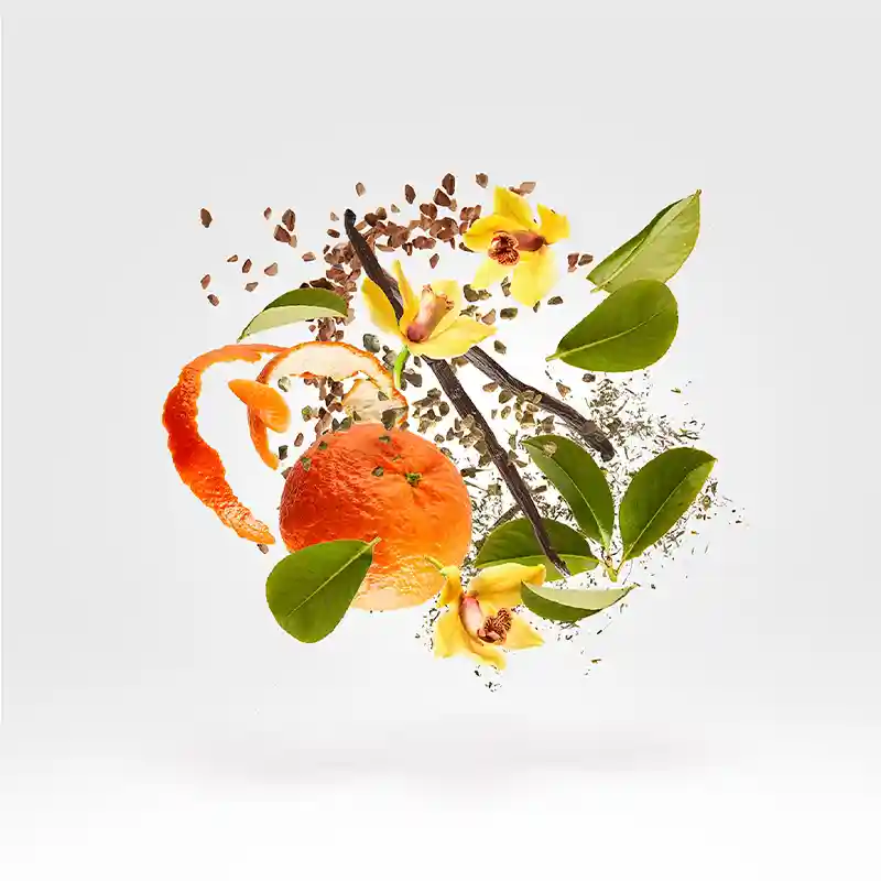 XERJOFF DECAS 7 XERJOFF DECAS – Image 5