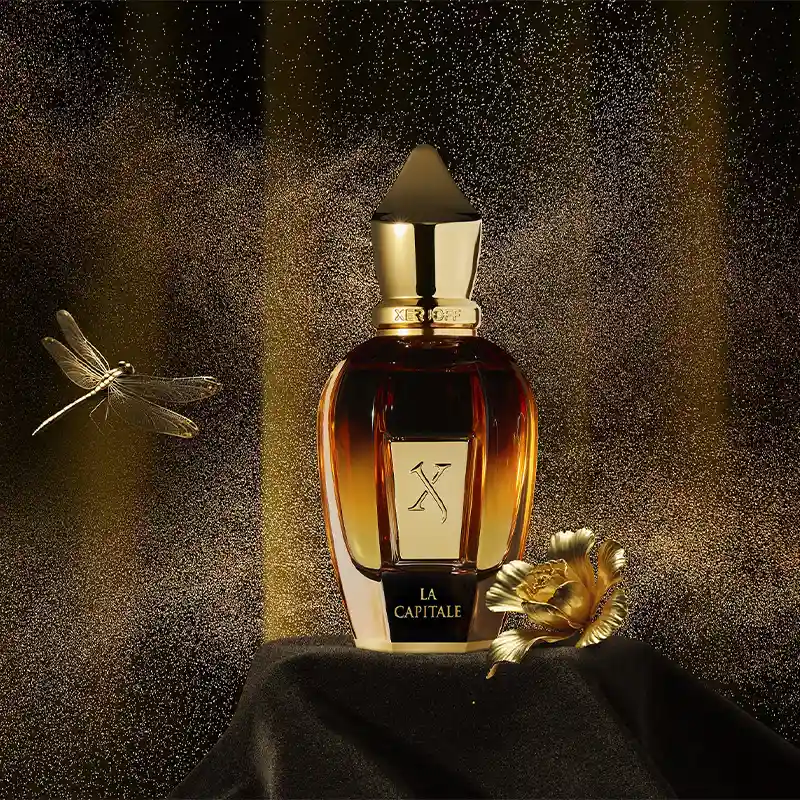 XERJOFF LA CAPITALE 8 XERJOFF LA CAPITALE – Image 6