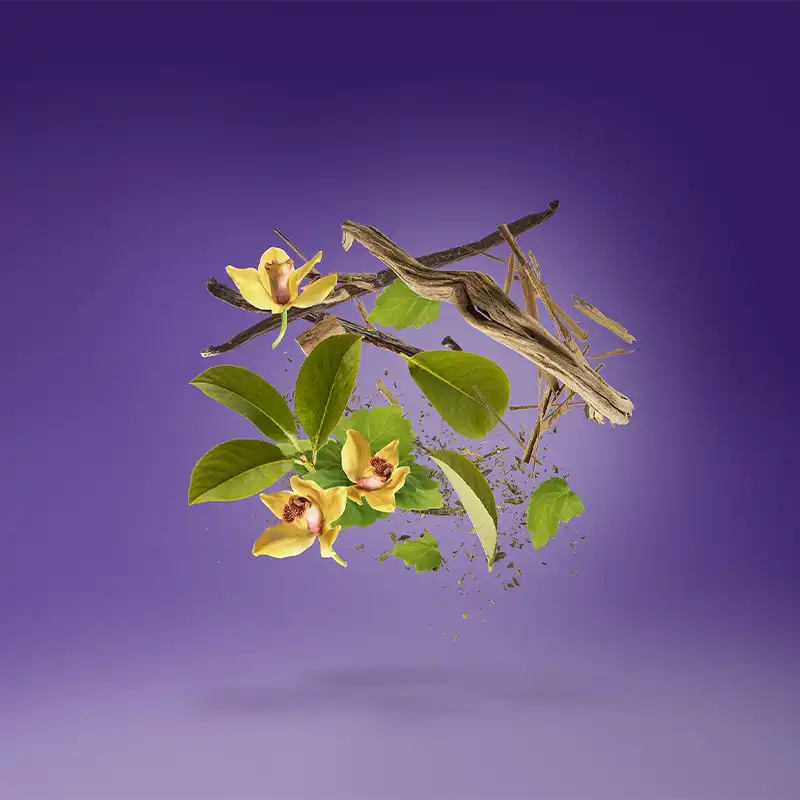 XERJOFF LAYLATI 5 XERJOFF LAYLATI – Image 4