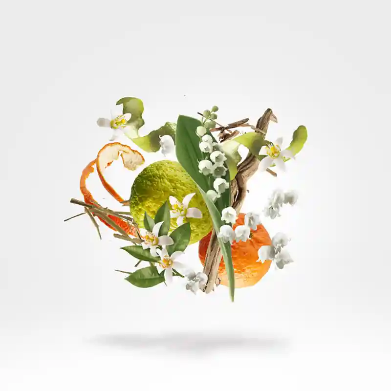 XERJOFF RENAISSANCE 7 XERJOFF RENAISSANCE – Image 5