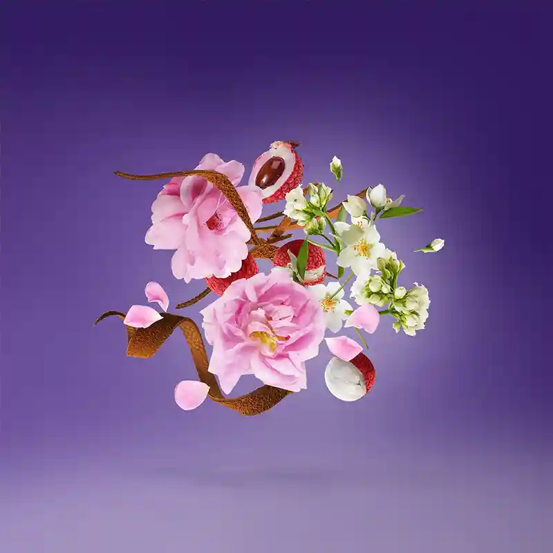 XERJOFF SOPRANO 5 XERJOFF SOPRANO – Image 3