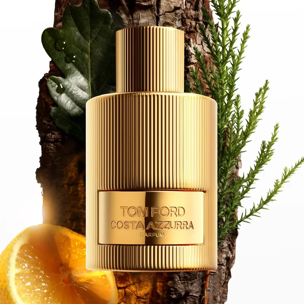 TOM FORD COSTA AZZURA 5 Tom Ford Costa Azzurra prix Maroc parfum marin boisé unisexe