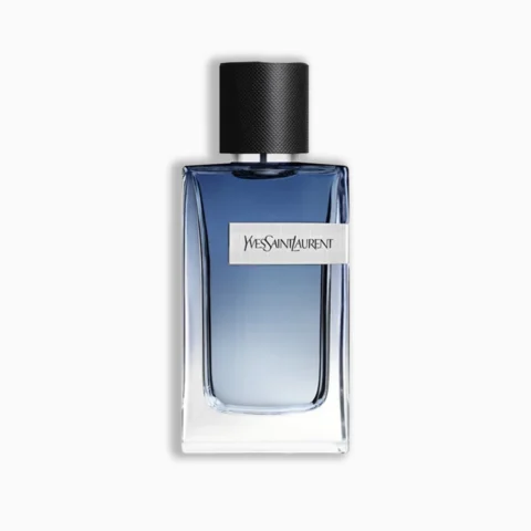 Y Live prix Maroc parfum homme frais aromatique
