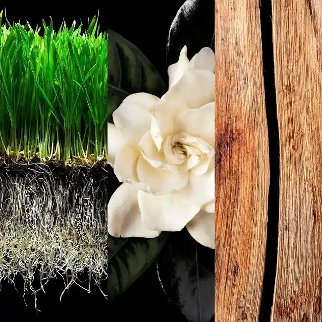 CAROLINA HERRERA 212 MEN EAU DE TOILETTE 7 CAROLINA HERRERA 212 MEN EAU DE TOILETTE – Image 5