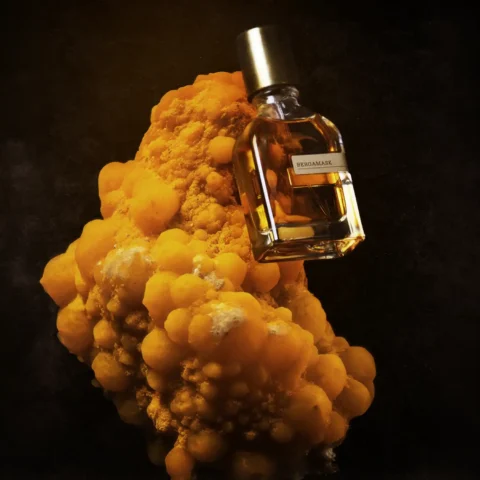 bergamask notes bergamote citron musc parfum maroc