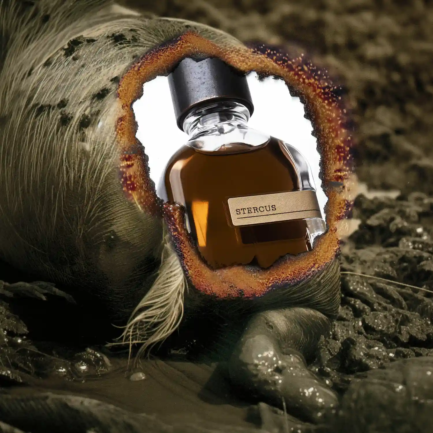 ORTO PARISI STERCUS 4 orto parisi stercus prix maroc parfum niche animal