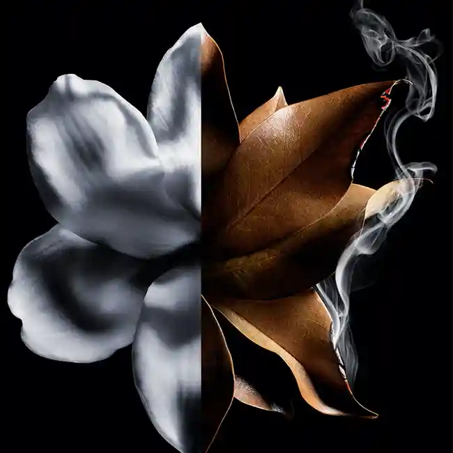 L’INTERDIT ABSOLU GIVENCHY 5 L’INTERDIT ABSOLU GIVENCHY – Image 3