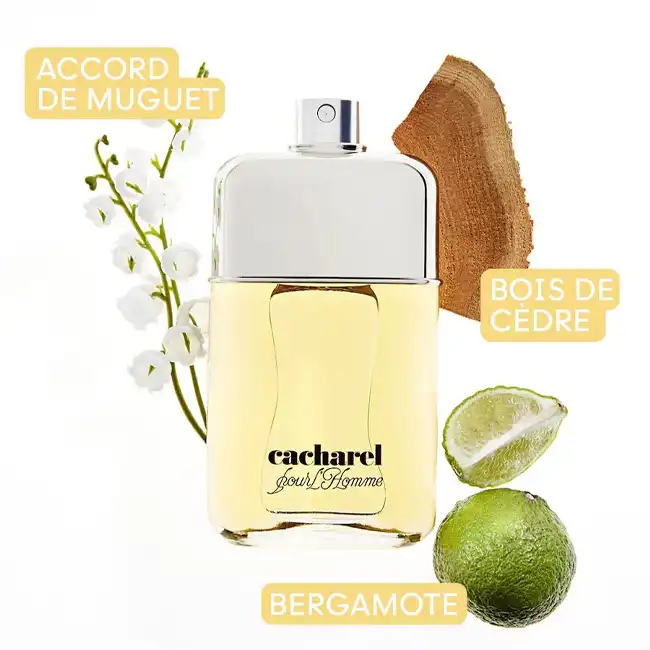 CACHAREL POUR L'HOMME EAU DE TOILETTE 4 CACHAREL POUR L'HOMME EAU DE TOILETTE – Image 2