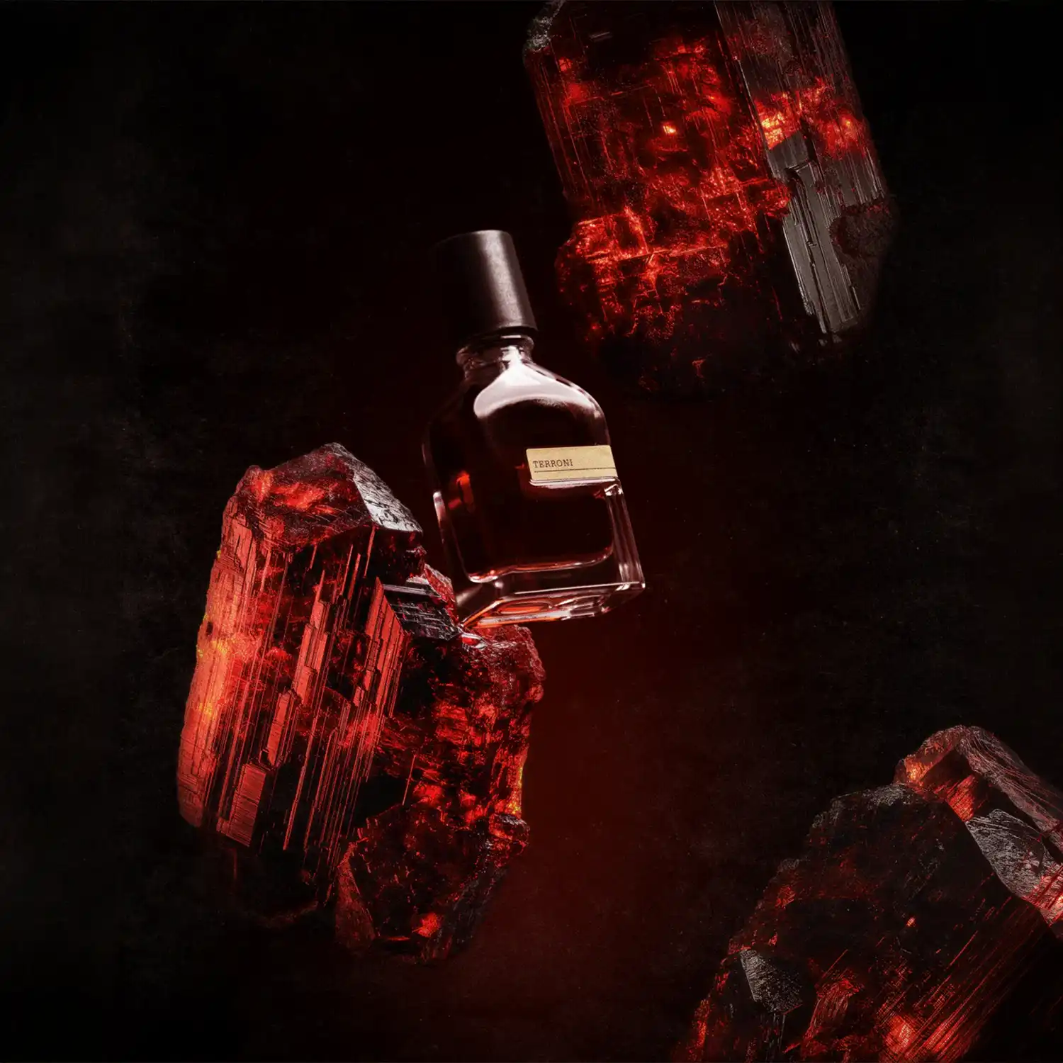 ORTO PARISI TERRONI 6 ORTO PARISI TERRONI – Image 4