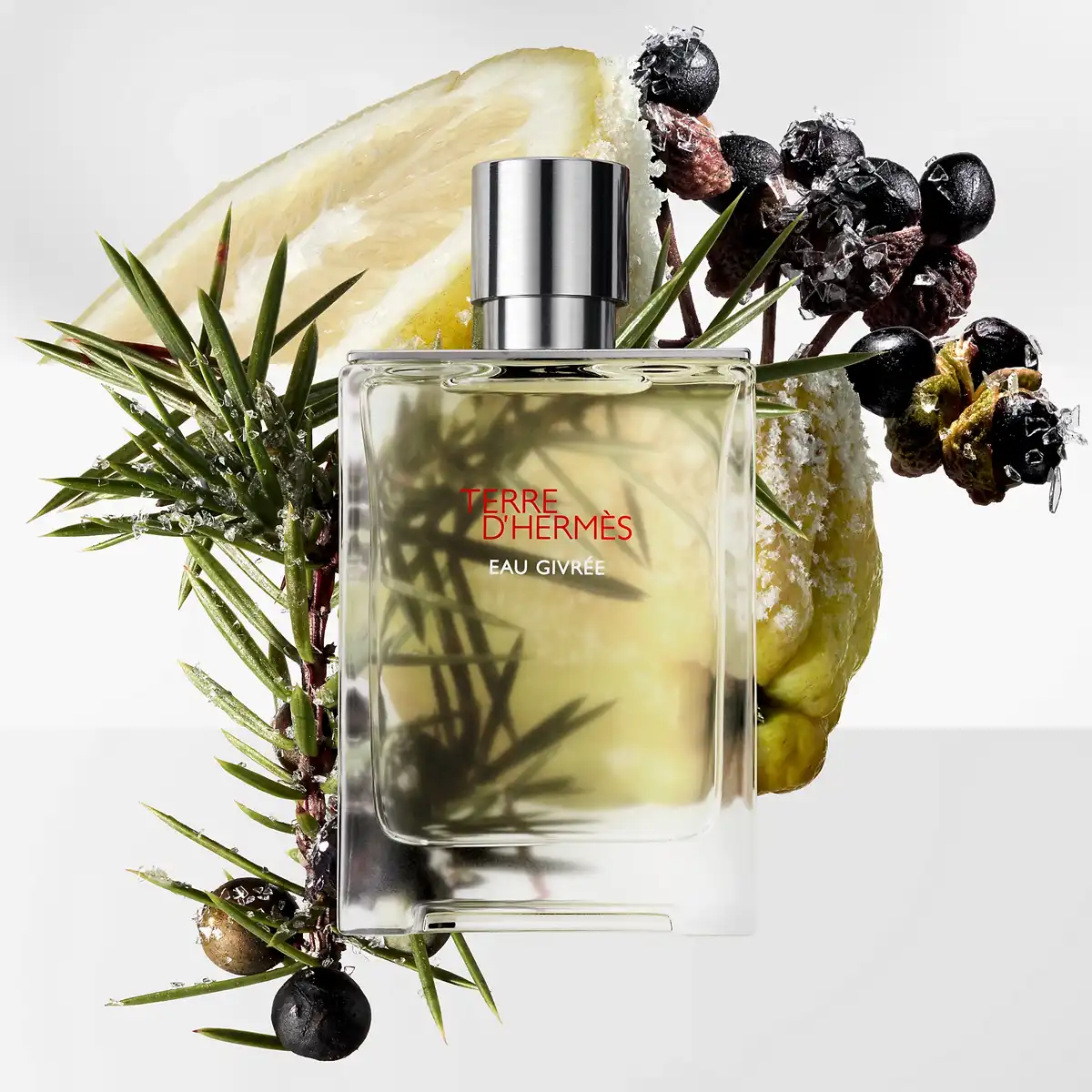 TERRE D’HERMÈS EAU GIVRÉE EAU DE PARFUM 5 TERRE D’HERMÈS EAU GIVRÉE EAU DE PARFUM – Image 3