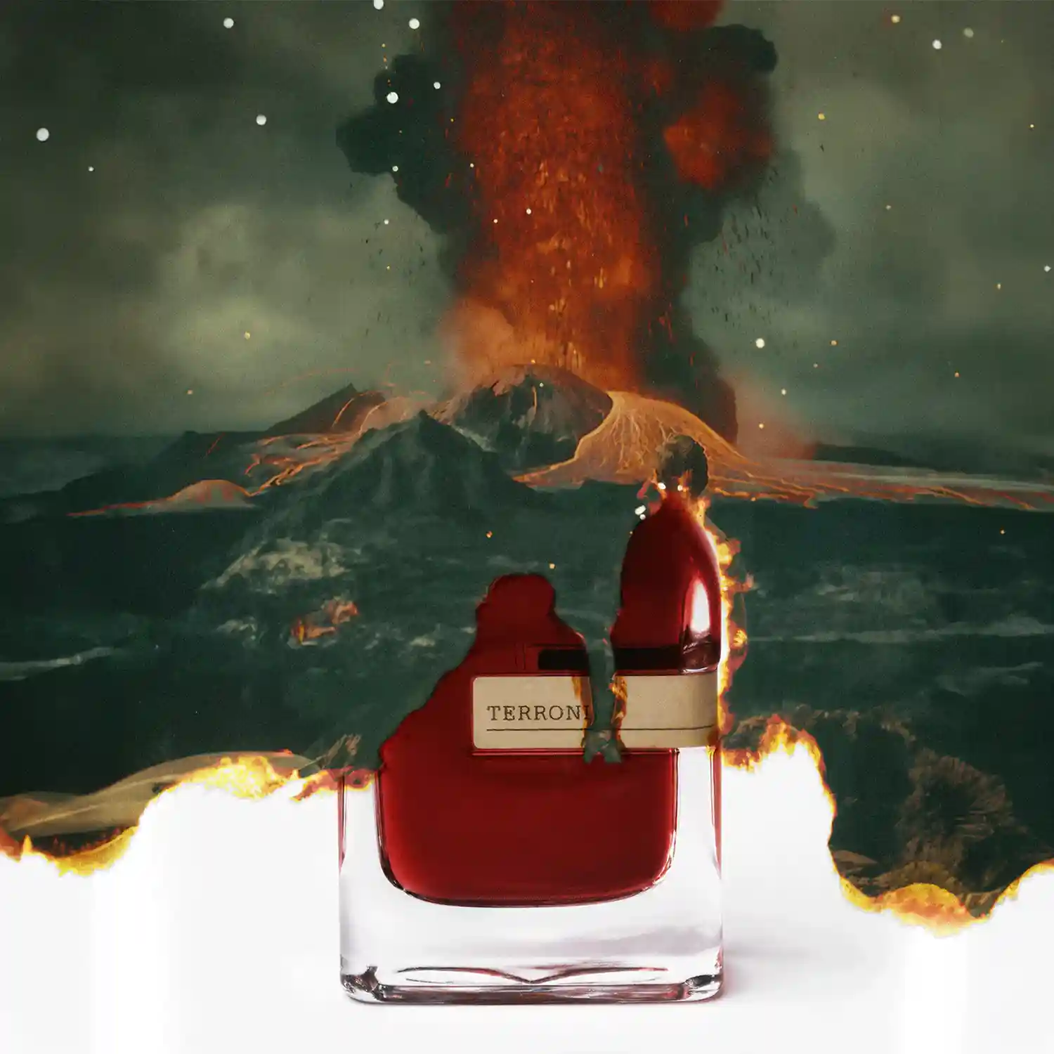 ORTO PARISI TERRONI 4 ORTO PARISI TERRONI – Image 2