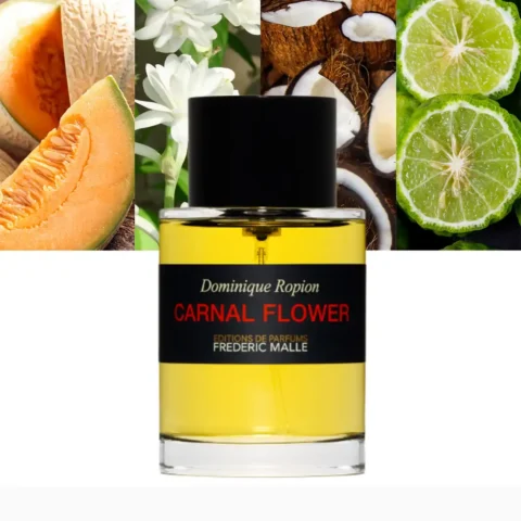 Frédéric Malle Carnal Flower prix Maroc parfum tubéreuse