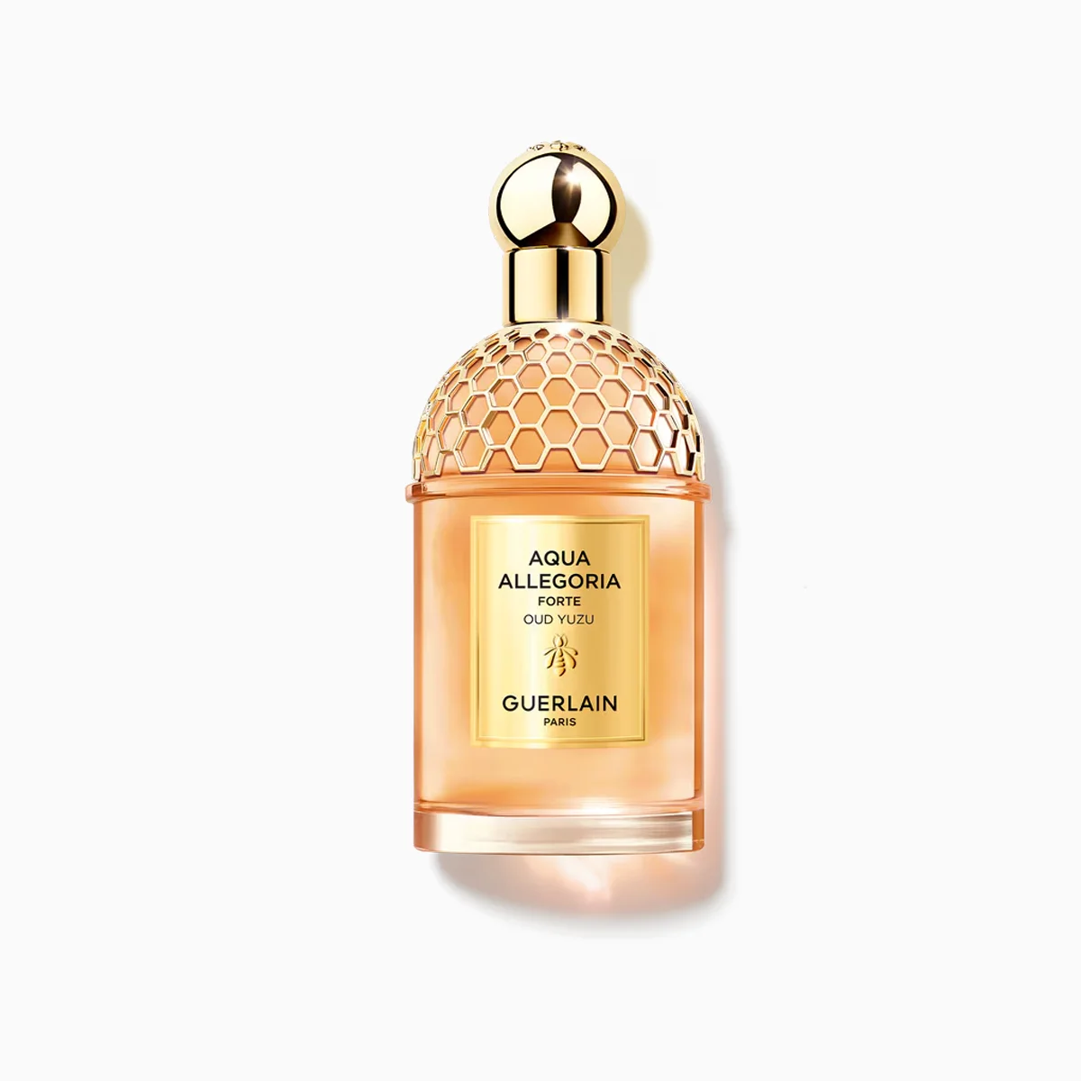 GUERLAIN AQUA ALLEGORIA FORTE OUD YUZU 3 Guerlain Aqua Allegoria Forte Oud Yuzu prix Maroc parfum oud yuzu cèdre