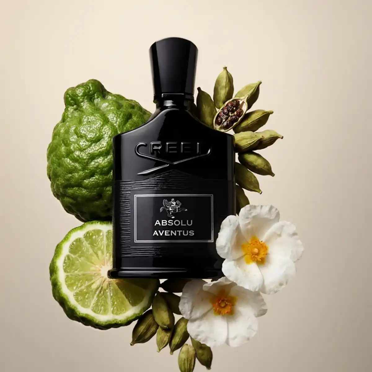CREED ABSOLU AVENTUS EAU DE PARFUM 4 CREED ABSOLU AVENTUS EAU DE PARFUM – Image 2