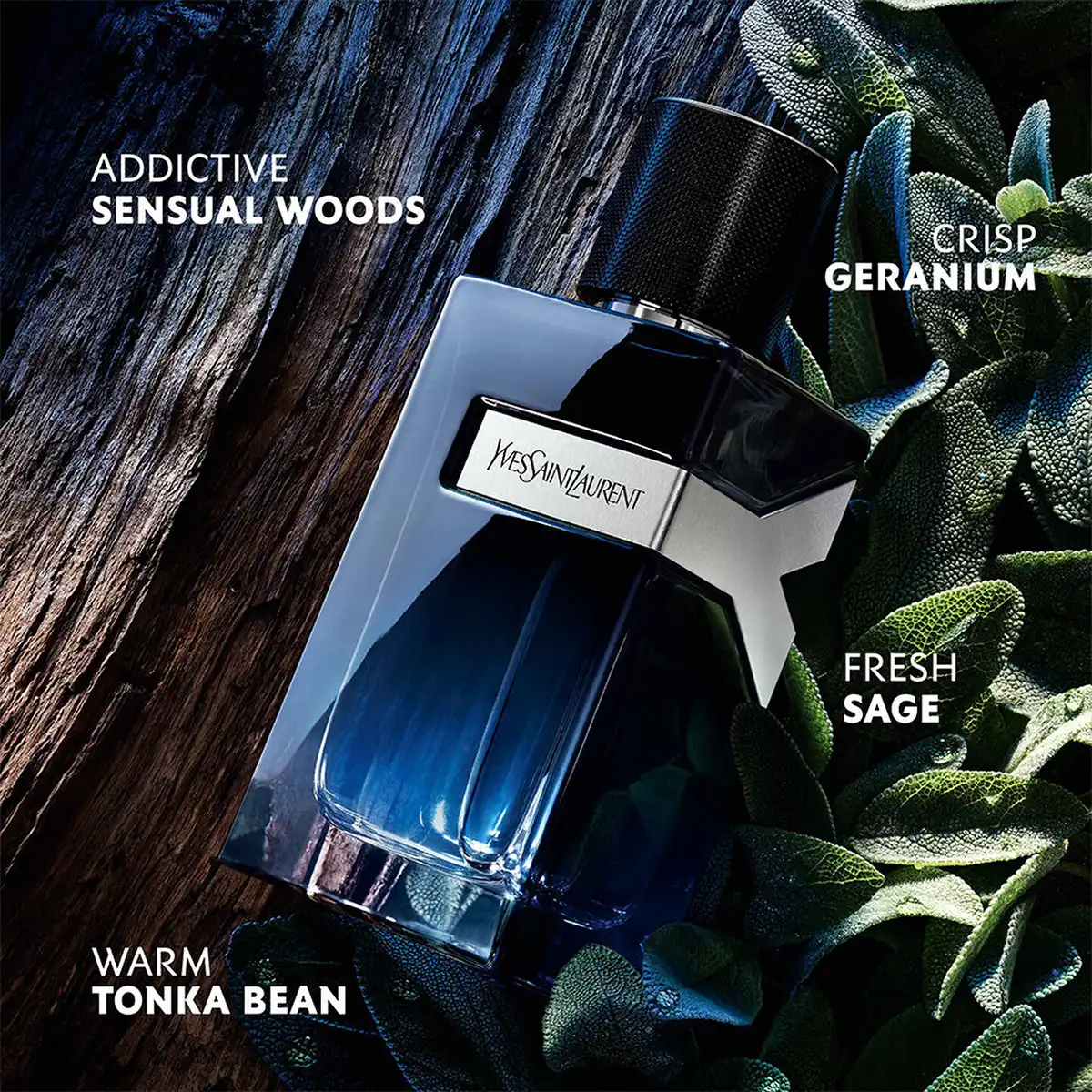 YVES SAINT LAURENT Y EAU DE PARFUM 4 YVES SAINT LAURENT Y EAU DE PARFUM – Image 2