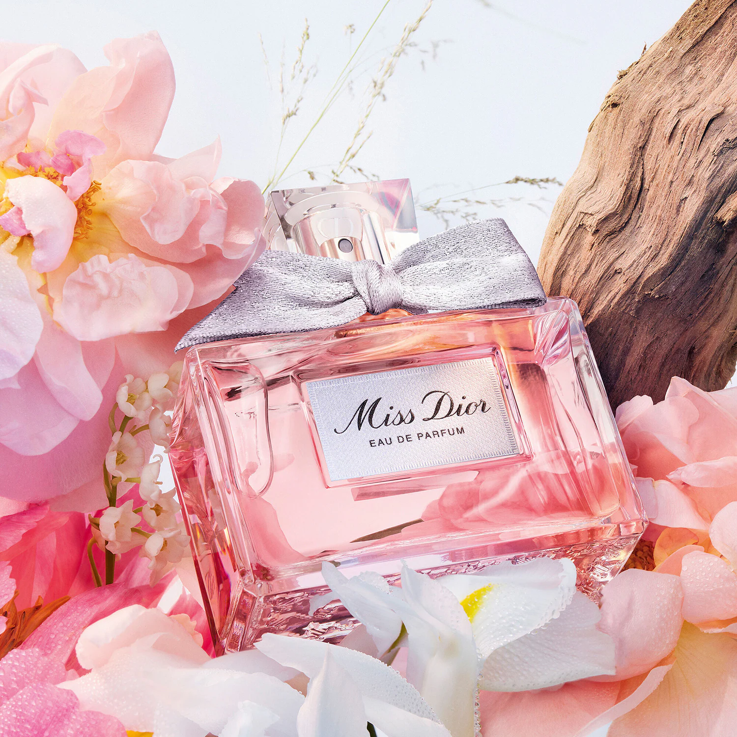 MISS DIOR EAU DE PARFUM DIOR 5 Miss Dior Eau de Parfum original Maroc