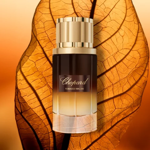 CHOPARD TOBACCO MALAKI EAU DE PARFUM HOMME 80ML original au Maroc