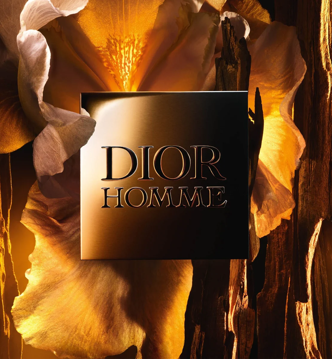DIOR HOMME PARFUM 2025 4 DIOR HOMME PARFUM 2025 – Image 2