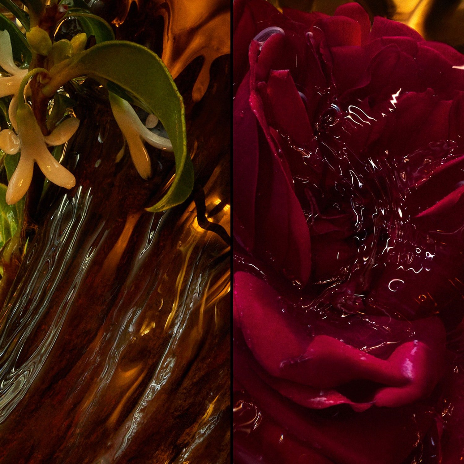 GUERLAIN ABSOLUS ALLEGORIA ROSE AMIRA EAU DE PARFUM 5 GUERLAIN ABSOLUS ALLEGORIA ROSE AMIRA EAU DE PARFUM – Image 3