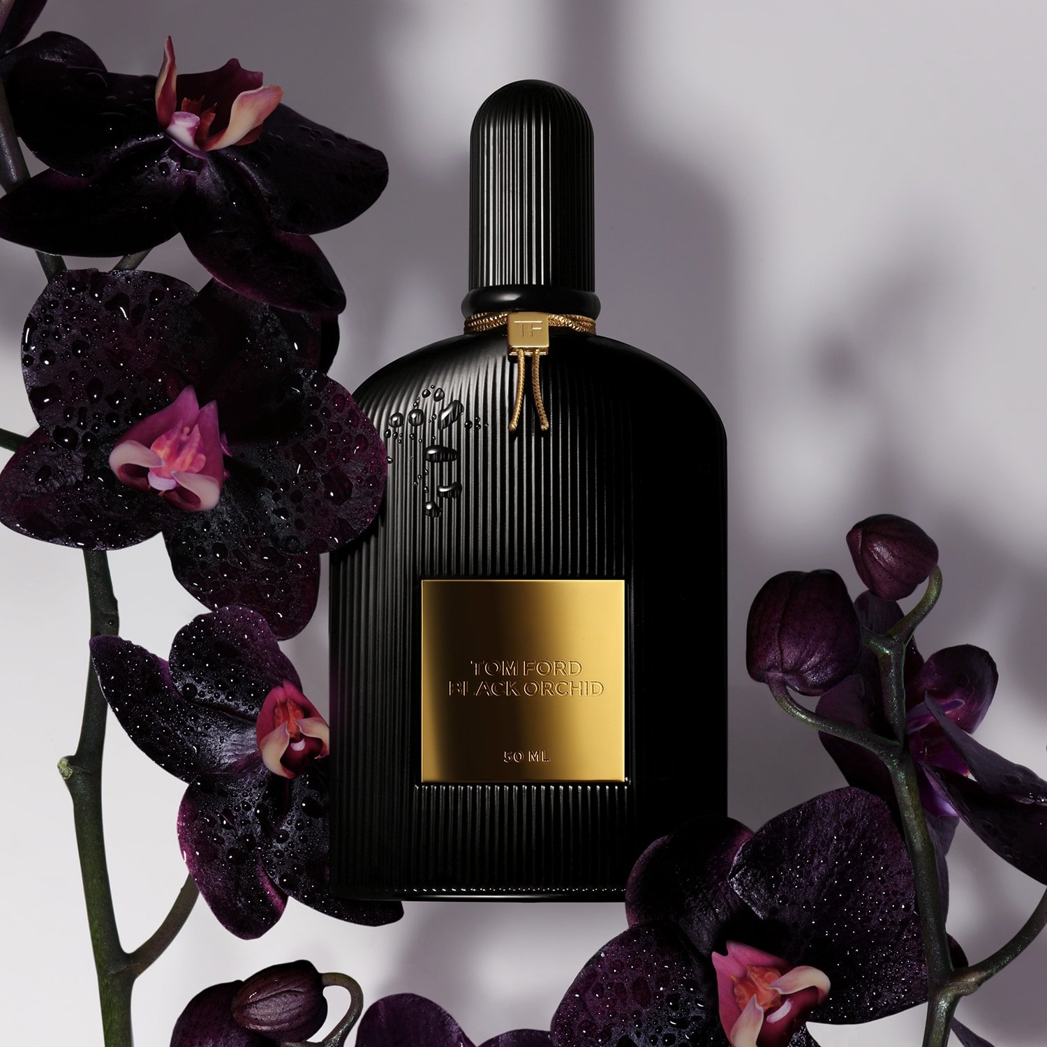 TOM FORD BLACK ORCHID EAU DE PARFUM 4 TOM FORD BLACK ORCHID EAU DE PARFUM – Image 2