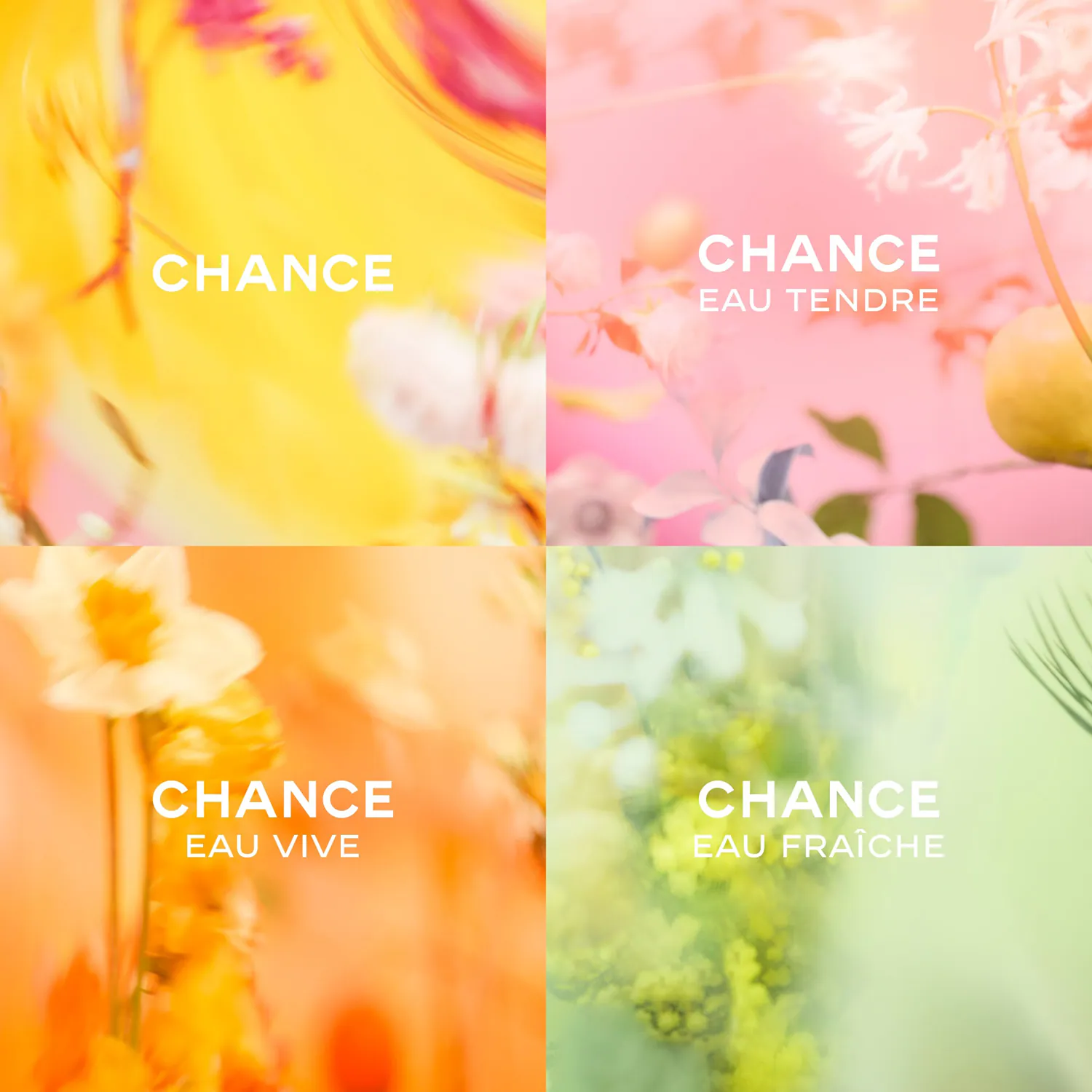 CHANEL CHANCE EAU TENDRE 5 CHANEL CHANCE EAU TENDRE – Image 3
