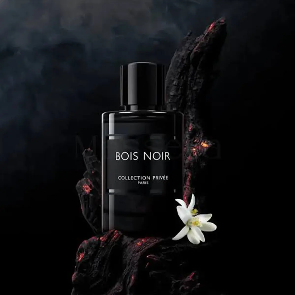 GEPARLYS BOIS NOIR EAU DE PARFUM HOMME 5 GEPARLYS BOIS NOIR EAU DE PARFUM HOMME – Image 3