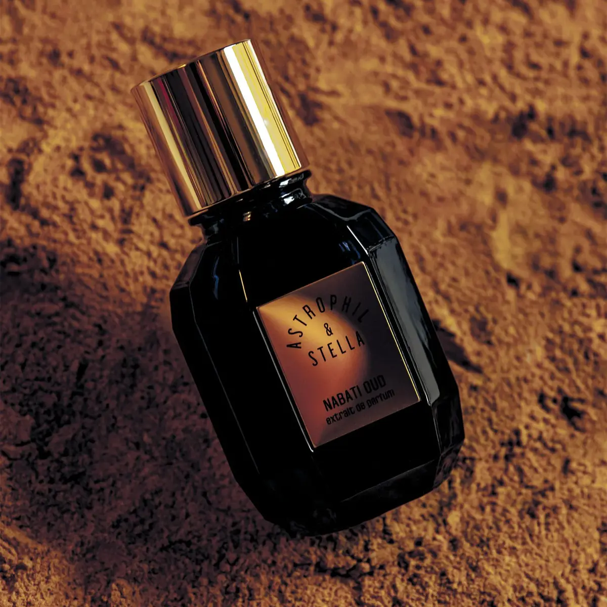 ASTROPHIL & STELLA NABATI OUD - EXTRAIT DE PARFUM 4 ASTROPHIL & STELLA NABATI OUD - EXTRAIT DE PARFUM – Image 2