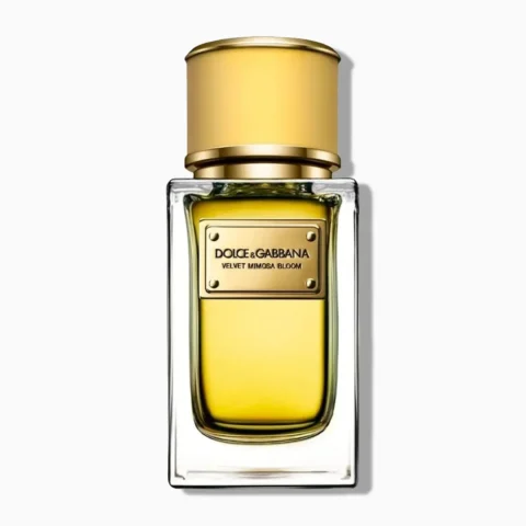 Dolce Gabbana Velvet Mimosa Bloom maroc