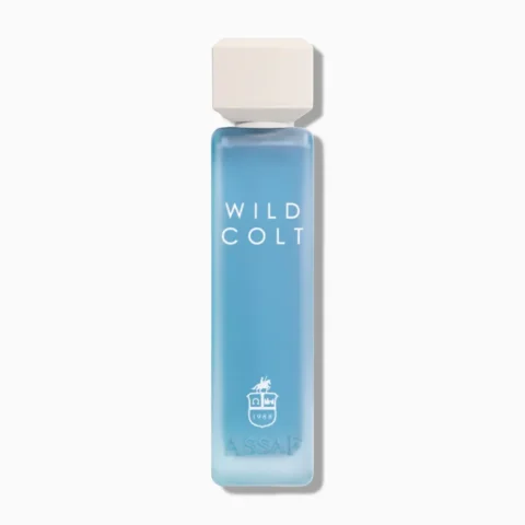 Assaf Wild Colt prix Maroc